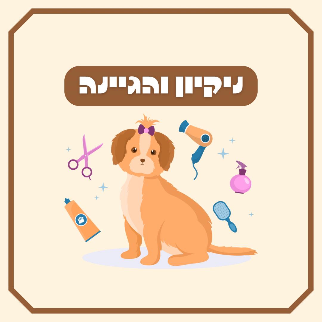 ניקיון והיגיינה