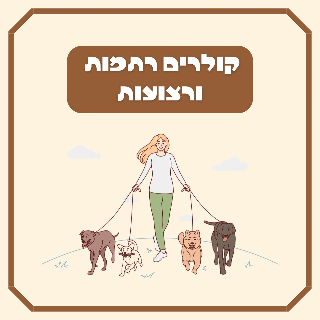 קולרים רתמות ורצועות